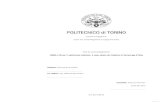 POLITECNICO di TORINO - BIM Portale · 2019. 9. 26. · per il patrimonio dei Paesaggi Vitivinicoli di Langhe-Roero e Monferrato di Alba, si è individuata come necessità quella