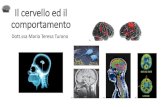 Cervello e comportamento...La corteccia cerebrale •Corteccia cerebrale: rivestimento di cellule grigie che formano lo strato più esterno del cervello umano –Fessure: pieghe della