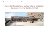 Carta dei Servizi Sanitari - Aou Sassari · 2014. 1. 22. · Infermieristiche e Ostetriche, Scienze delle professioni sanitarie della riabilitazione; • n. 42 Scuole di Specializzazione