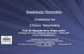 Semiologia Veterinária Anamnese na Clínica Veterinária · 2020. 5. 10. · gato está constipado. Diante da informação obtida veterinário decide medicar o animal com laxante