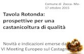 Tavola Rotonda: prospettive per una castanicoltura di qualità · 2015. 10. 28. · Comune di Zocca- Mo- 17 ottobre 2015 Novità e indicazioni emerse dal VI Meeting Europeo sul Castagno