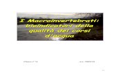 I Macroinvertebrati: bioindicatori della qualità dei corsi d'acqua 2010/9atti... · 2020. 1. 8. · I Macroinvertebrati: indicatori biologici della qualità dei corsi d'acqua La