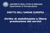DIRITTO DELL’UNIONE EUROPEA · 2017. 4. 4. · Diritto di soggiorno Diritto di soggiorno dei pensionati Diritto di soggiorno degli studenti Direttiva 2004/38: diritto dei cittadini