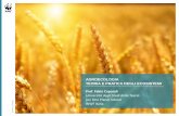 AGROECOLOGIA TEORIA E PRATICA DEGLI ECOSISTEMI · 2020. 11. 19. · •Fertilizzazione •Difesa fitosan. BESTIAME COLTURE capitale energia materiali informazione capitale energia