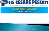 RISCHI FISICI: RUMORE · Istituto “Cesare Pesenti” - Bergamo Rischio esposizione al rumore Effetti del rumore sulle persone Il rischio di IPOACUSIA (diminuzione della capacità