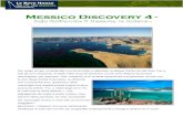 Messico Discovery 4...Messico Discovery 4 - ... Baja California: il Deserto; le Balene... Per lungo tempo considerata una zona arida e desolata, la Bassa California del Sud, fino a