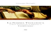 Teologia - Edizioni Studio Domenicano€¦ · La Somma Teologica di san Tommaso d’Aquino deve essere lettatutta,perchéèunmonumentodiintelligenzaesapienza.Ma …