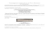 Passeggiata epigrafica al Foro Romano - The Colosseum · 2021. 5. 11. · Passeggiata epigrafica al Foro Romano di “Centumpedites” Le iscrizioni descritte nel seguito sono state