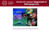 Corso di Laurea Magistrale in Bioingegneria · 2018. 6. 23. · •2000: Corso di laurea triennale in Ing. Biomedica •2004: Corso di Laurea Specialistica (dal 2008 Magistrale) in