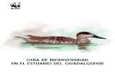 Guía de biodiversidad en el estuario del Guadalquivir · 2021. 3. 16. · WWF EN EL ESTUARIO DEL GUADALQUIVIR Y EN DOÑANA Una de las primeras acciones de la recién creada WWF en