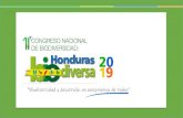 Estado Actual de la Biodiversidad en Honduras: Componente ......•Juglans olanchana Standl. & L.O. Williams •Pithecellobium johansenii Standl. Plantas invasoras: previos resultados