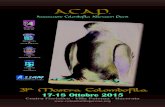 A.C.A.P. - Associazione Colombofila Allevatori Piceni · 2017. 9. 7. · ed inserita negli standard di tutta Europa. Con la certezza che l’ACAP cercherà sempre di fare del suo