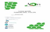 Linee Guida AIOM 2019 TUMORI DEL COLON · 2020. 4. 13. · TUMORI DEL COLON . LINEE GUIDA 2019 . 2 . ... nel testo a lato della descrizione dei soli studi ritenuti rilevanti a sostegno