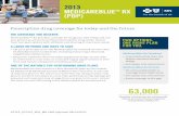 2013 Medicare Blue RX (PDP) Brochure