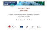 Progetto Cluster VAGEMAS · Sardegna può essere utilizzata per la produzione di dolci? La possono utilizzare tutti i produttori di dolci (artigianali e industriali)? - ... Sardegna