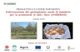 PROGETTO CLUSTER TOP DOWN ... - Sardegna Agricolturasardegnaagricoltura.it/documenti/14_691_20191002160055.pdf · Qualche immagine di dolci tipici della Sardegna a base di mandorle!