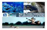 Latin America and Caribbean Network of Environmental Fundsawsassets.wwfar.panda.org/downloads/redlac2012___jose...Informe sobre Desempeño Financiero de los FA Estudio anual - Conservation