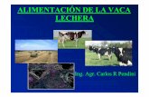 ALIMENTACIÓN DE LA VACA LECHERA - produccion animal · 2010. 12. 2. · 1La vaca debe parir con un buen estado corporal. 2La movilización de reserva corporal es un recurso disponible