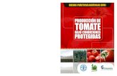 Cian NegroMagenta Yellow - FAO · 2021. 2. 8. · Investigación “La Selva”, ... 4.7.4 Fertirrigación 4.7.5 Recomendaciones técnicas para la aplicación y manejo de fertilizantes