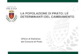 LA POPOLAZIONE DI PRATO: LE DETERMINANTI DEL CAMBIAMENTOallegatistatistica.comune.prato.it/dl/20100203134958596/... · 2010. 2. 5. · La popolazione di Prato: le determinanti del