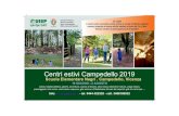 Centri estivi Campedello 2019 - UISP mauro.pdf · 2019. 5. 7. · Scuola Elementare Negri , Campedello, Vicenza Centri estivi Campedello 2019 10 GIUGNO–2 AGOSTO ca , nyalcio, basket,