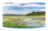 La experiencia en el Humedal - Home | Marviva · 2020. 10. 29. · Recuperando el Patrimonio Natural del Estado: La experiencia en el Humedal Nacional Térraba-Sierpe, Costa Rica