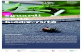 sguardi - Ticino · 2015. 9. 3. · sguardi sulla biodiversità Il progetto “Sguardi sulla biodiversità”, nato per celebrare l’anniversario dei 20 anni di Capriasca Am-biente,