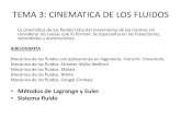 TEMA 3: CINEMATICA DE LOS FLUIDOS · PDF file 2018. 8. 2. · TEMA 3: CINEMATICA DE LOS FLUIDOS La cinemática de los fluidos trata del movimiento de los mismos sin considerar las