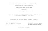 INGEGNERIA AGRARIA - unibo.itamsdottorato.unibo.it/5650/1/THESIS.pdf · 2013. 3. 13. · INGEGNERIA AGRARIA Ciclo XXV Meccanica Agraria - AGR / 09 OPTIMIZATION OF BIOENERGY SOLUTIONS