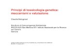 Principi di tossicologia genetica: meccanismi e valutazione · 2013. 5. 13. · Principi di tossicologia genetica: meccanismi e valutazione Claudia Bolognesi Struttura di Cancerogenesi