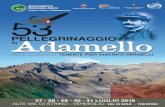 1963-2016 PELLEGRINAGGIO Adamellovermigliovacanze.it/wp-content/uploads/2016/06/Pellegr... · 2016. 6. 7. · ricostruito parte del villaggio alpino della Grande Guerra. Salita alla