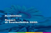 Report di Sostenibilità 2020. - bluenergygroup.it