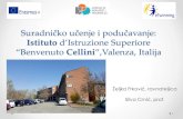 Istituto d’Istruzione Superiore “Benvenuto Cellini ...