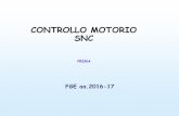 CONTROLLO MOTORIO SNC - Home Page-Scuola di Medicina e ...