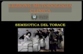 SEMEIOTICA DEL TORACE - Unife