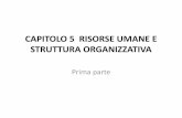 CAPITOLO 5 RISORSE UMANE E STRUTTURA ORGANIZZATIVA