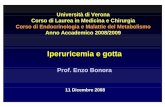 Prof. Enzo Bonora - docs.univr.it