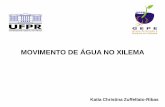 MOVIMENTO DE ÁGUA NO XILEMA - UFPR