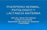 PUERPERIO NORMAL, PATOLOGICO Y LACTANCIA MATERNA - …
