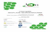 Linee Guida AIOM 2019 Neoplasie Neuroendocrine