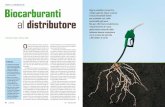 fonti alternative Biocarburanti
