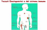 Tessuti Ematopoietici e del sistema immune