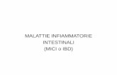 MALATTIE INFIAMMATORIE INTESTINALI (MICI o IBD)