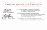 L’impresa agricola multifunzionale