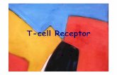 T-cell Receptor - Infermieristica