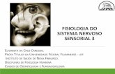 Fisiologia do Sistema Nervoso - sga.sites.uff.br