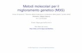 Metodi molecolari per il miglioramento genetico (M3G)