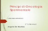 Principi di Oncologia Sperimentale - DidatticaWEB