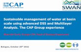 Sustainable management of water at basin scale using ...