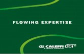 FLOWING EXPERTISE